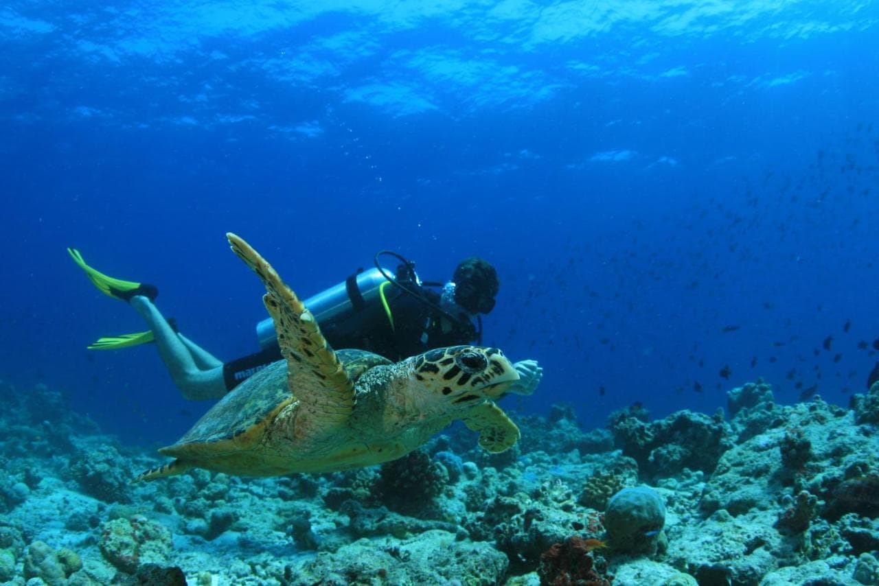 Amilla Maldives view 4